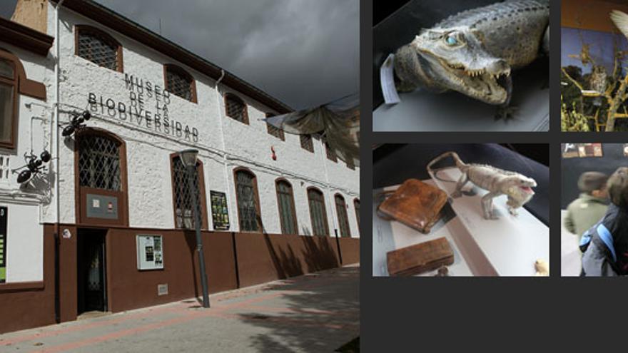 Museo de la Biodiversidad