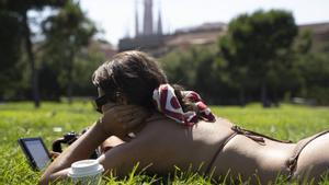 L’eclosió del biquini als parcs desafia la normativa a BCN