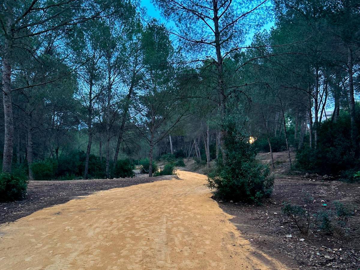 Estado actual de los senderos del Parque de El Moralet por los que discurrirá la Copa del Mundo de Ciclocross UCI – Benidorm Costa Blanca 2025.