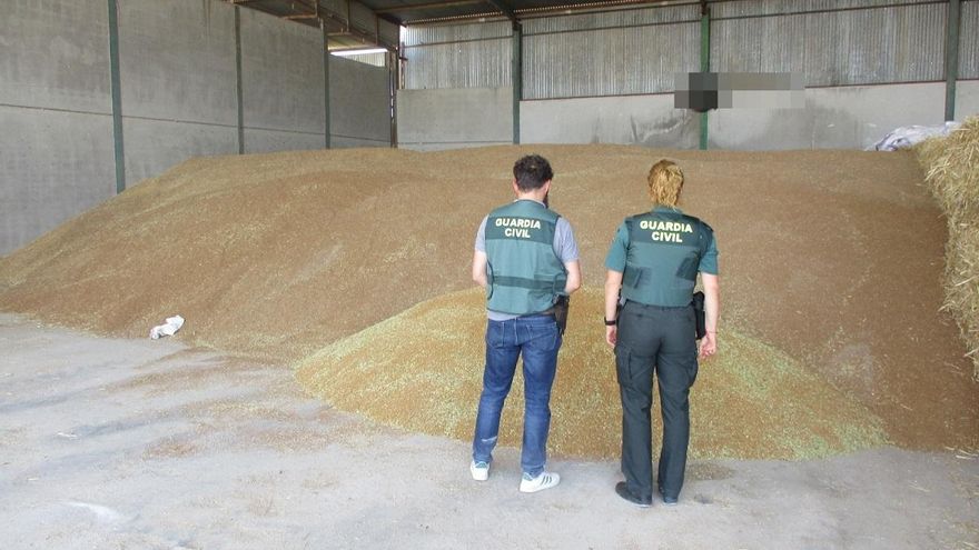 La Guardia Civil interviene 200 toneladas de trigo y detiene a tres personas en Montilla