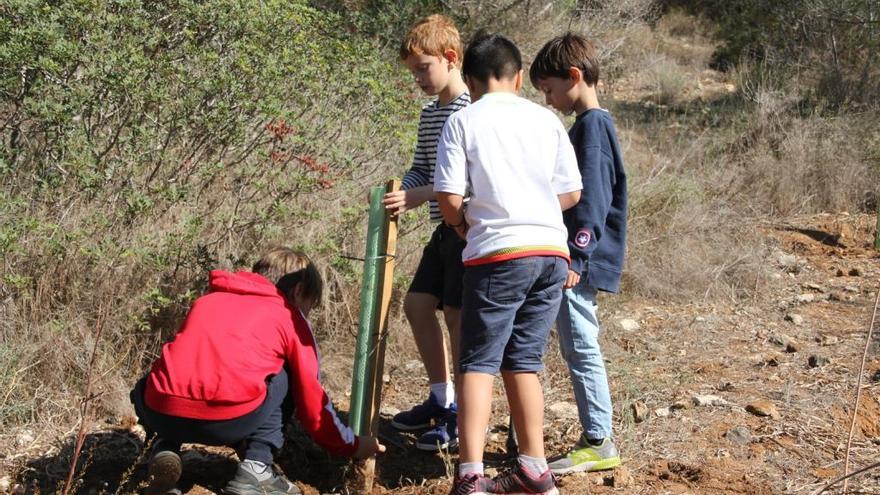 Un grupo de niÃ±os en plena faena.