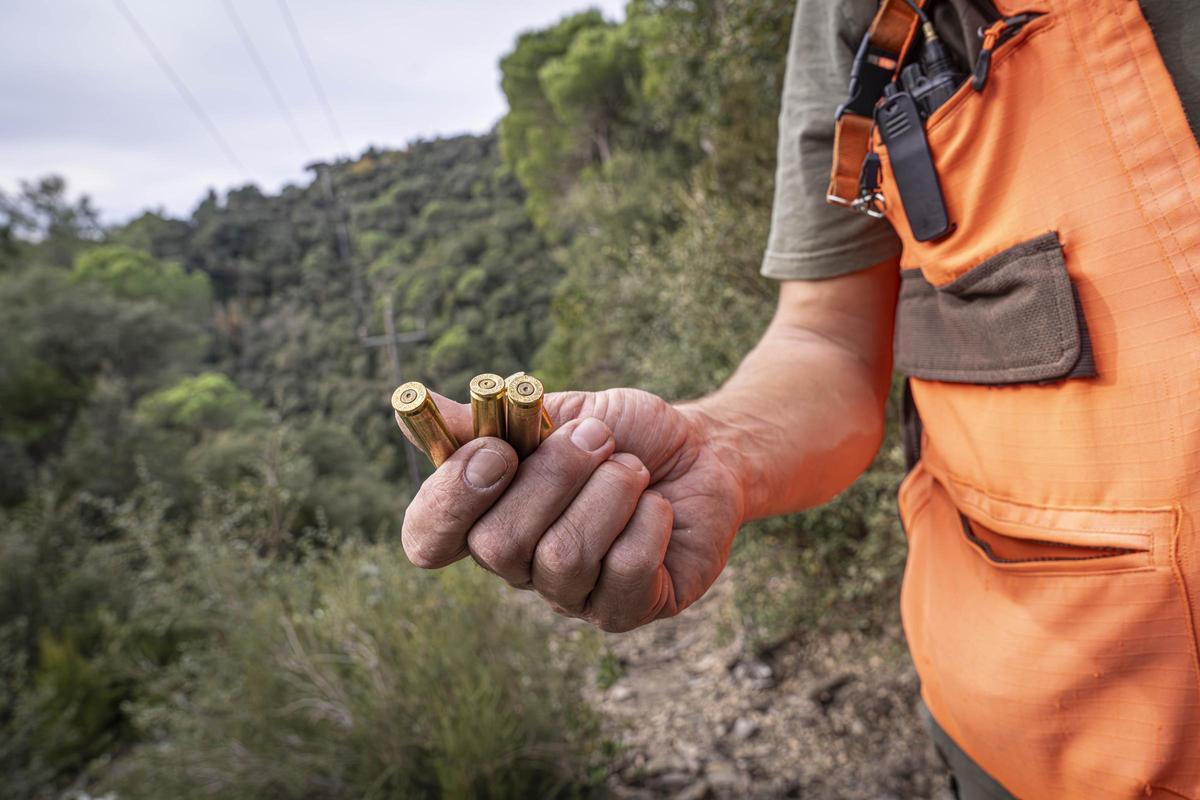 Así funciona una batida de caza en Girona: seguridad, convivencia y control del jabalí