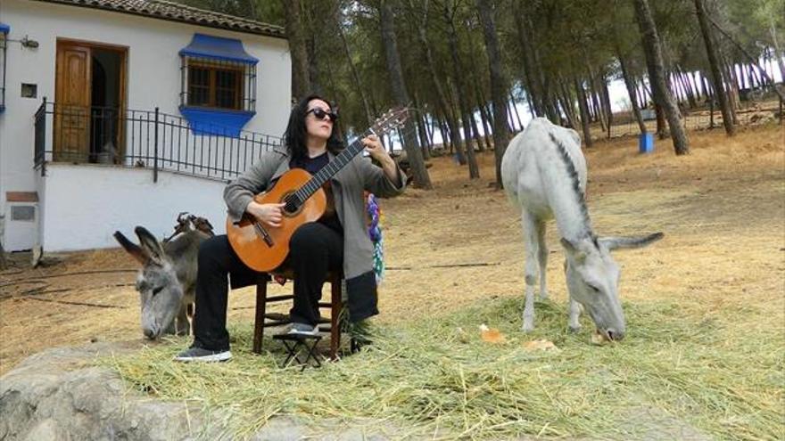 Guitarra para los burritos