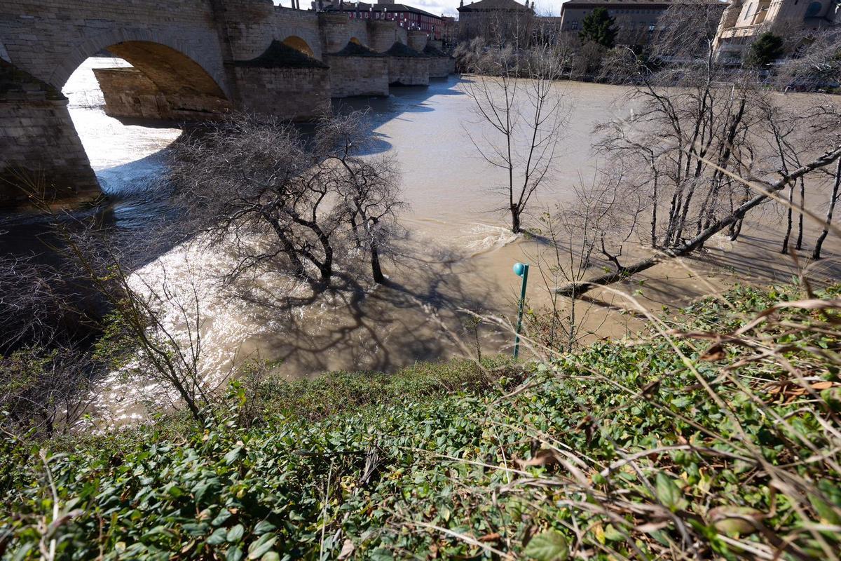 En imágenes I Árboles caídos en Zaragoza y parques cerrados por el viento