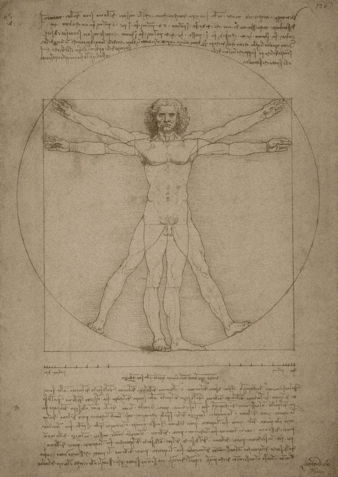 El hombre de Vitruvio de Leonardo da Vinci, hacia 1490.