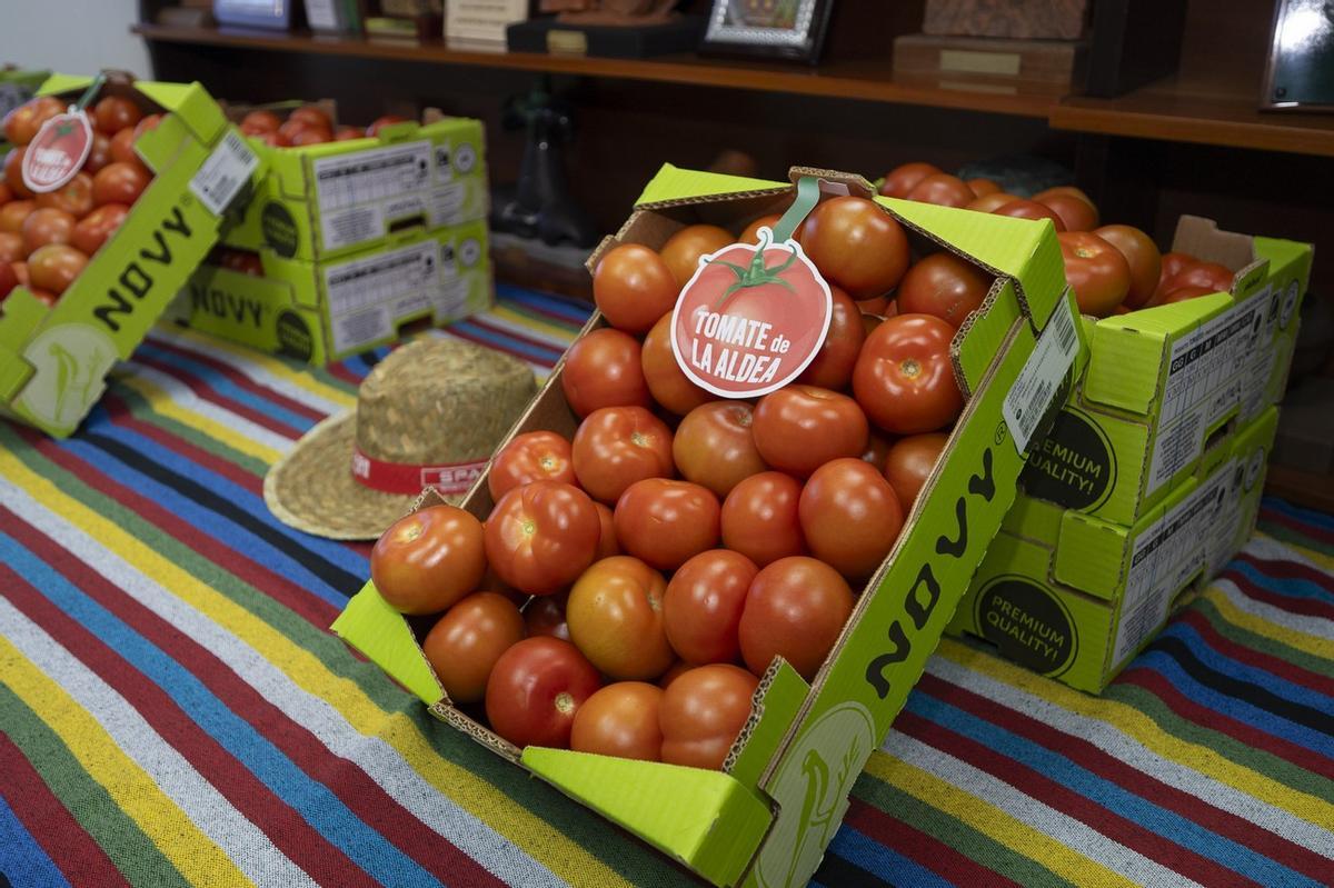 SPAR Gran Canaria y COAGRISAN renuevan el convenido del tomate de La Aldea por cuarto año consecutivo.