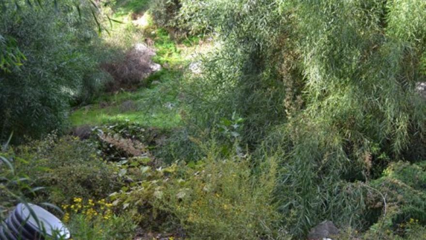 Arroyo de la Caleta: un nuevo Amazonas