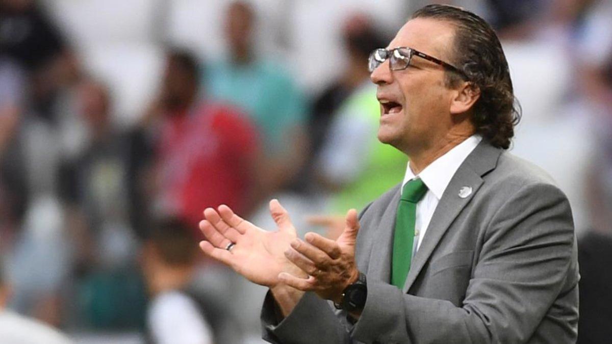 Juan Antonio Pizzi interesa al Betis