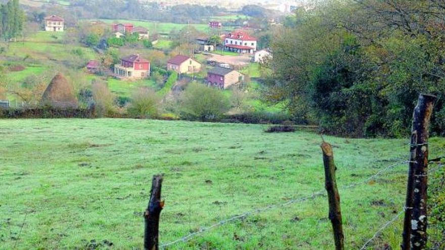 Una panorámica de Brañes, en el Naranco.