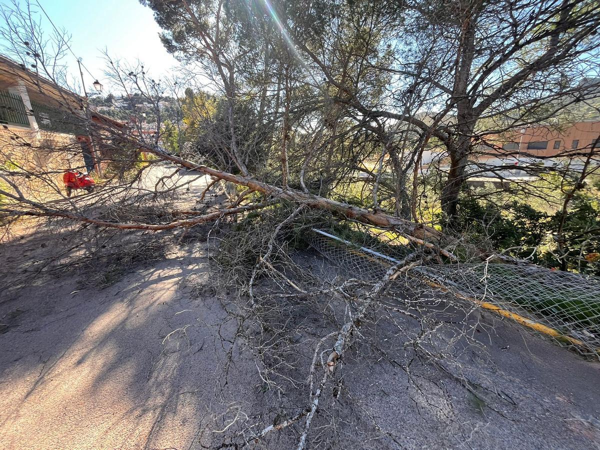 Camino cortado cercano a una urbanización.