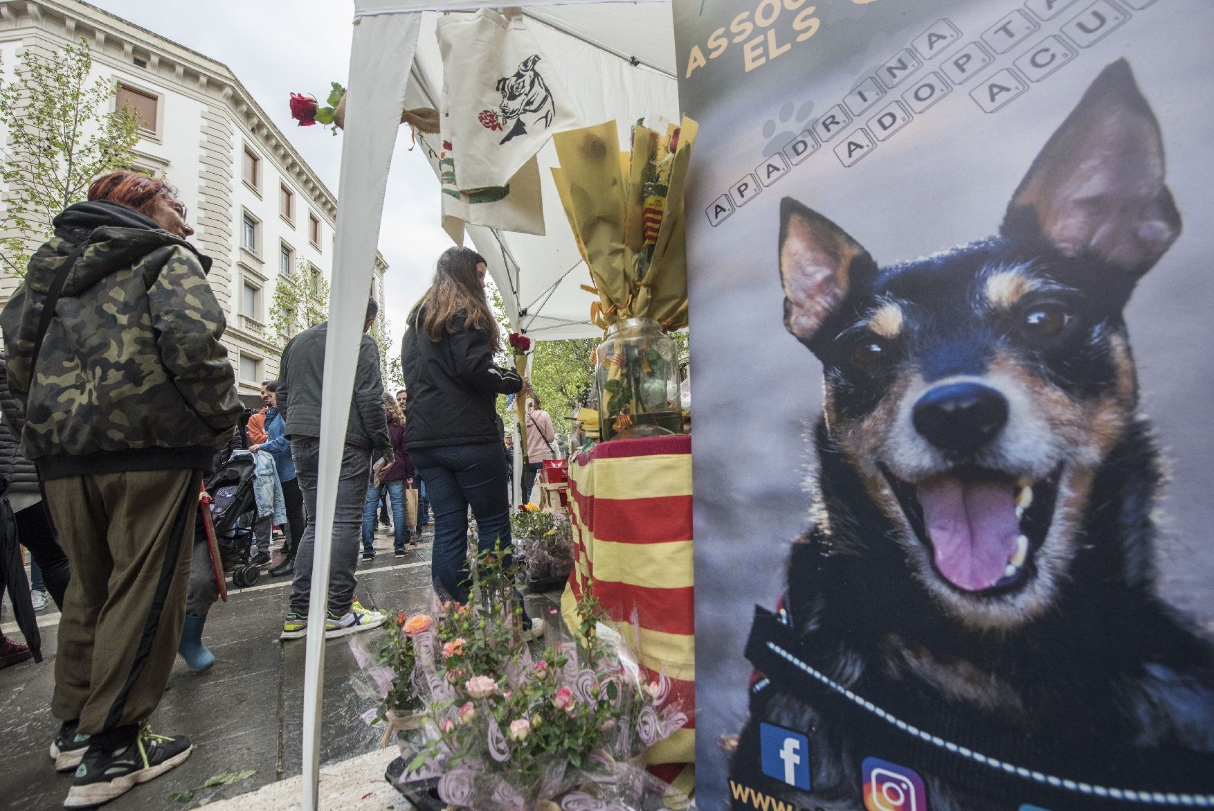 Sant Jordi a Manresa 2022