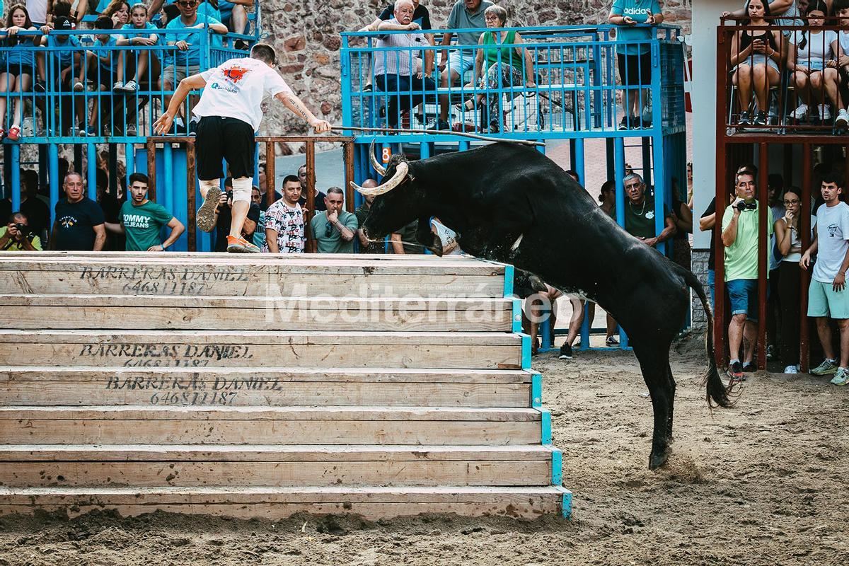 Bous a Vilafamés 2025 Bous a Vilafamés 2025