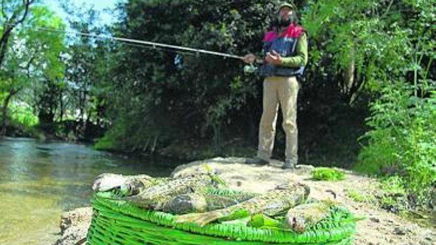 Pesca de truchas en el Umia.  // Iñaki Abella