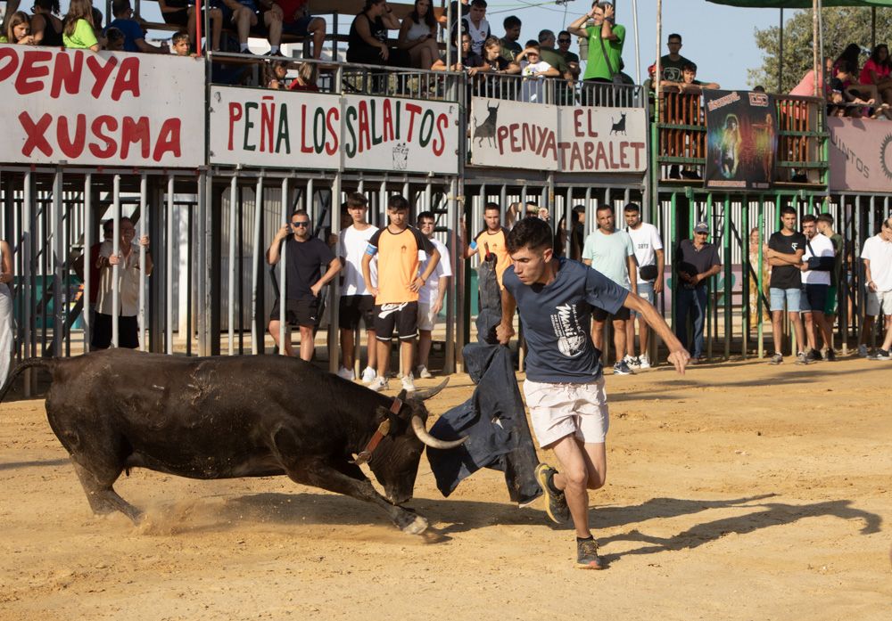 Jueves de vaquillas en las fiestas de Sagunt