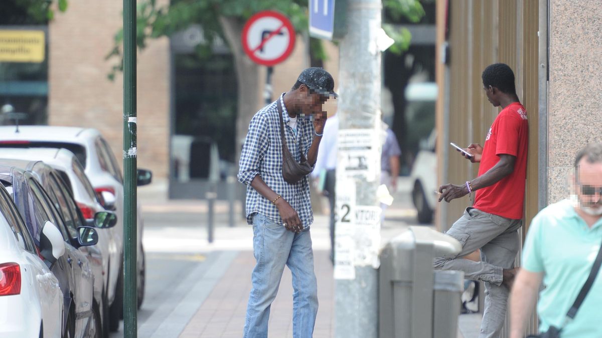 Dos gorrillas, en la zona del Nueve Pisos, en la capital murciana.