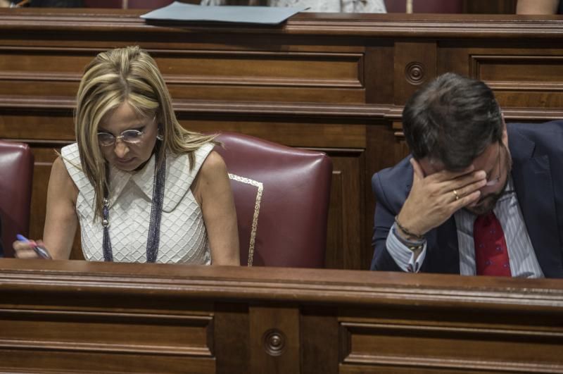 Pleno en el Parlamento de Canarias (21/06/2017)