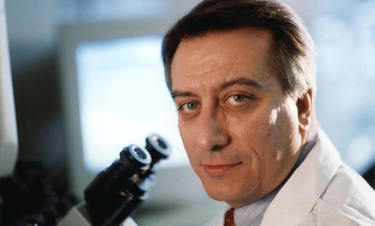 zentauroepp53364688 usa1562  nueva york  ny  eeuu   08 05 2020   fotograf a cedi200512161041