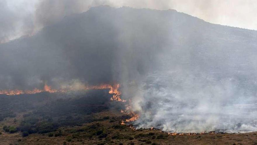 Un fuego intencionado quema 6.700 hectáreas en la Cabrera (León)