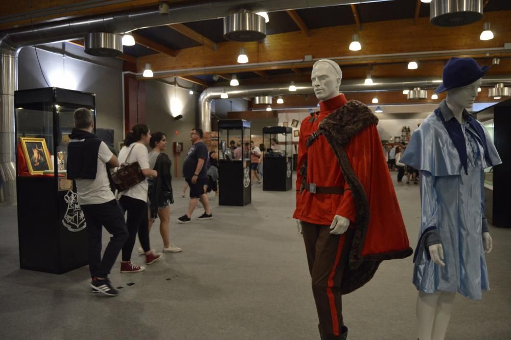 Día de Harry Potter en Metrópoli