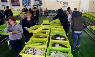 Las lonjas gallegas recuperan el pulso