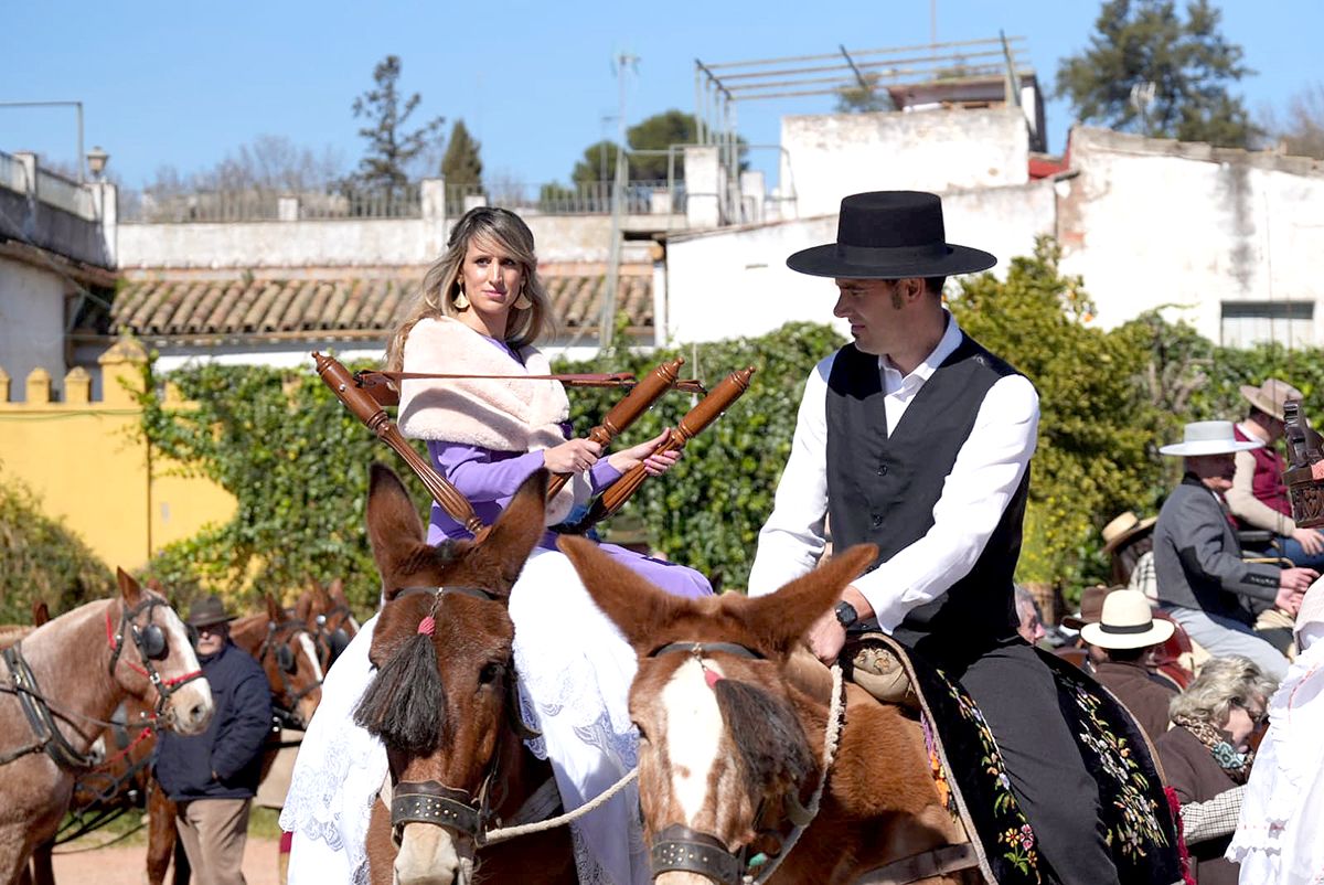 los caballos reinan en Córdoba el 28F