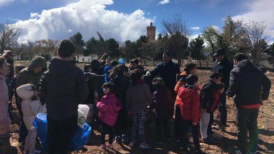 Los escolares participan en el Día del Árbol