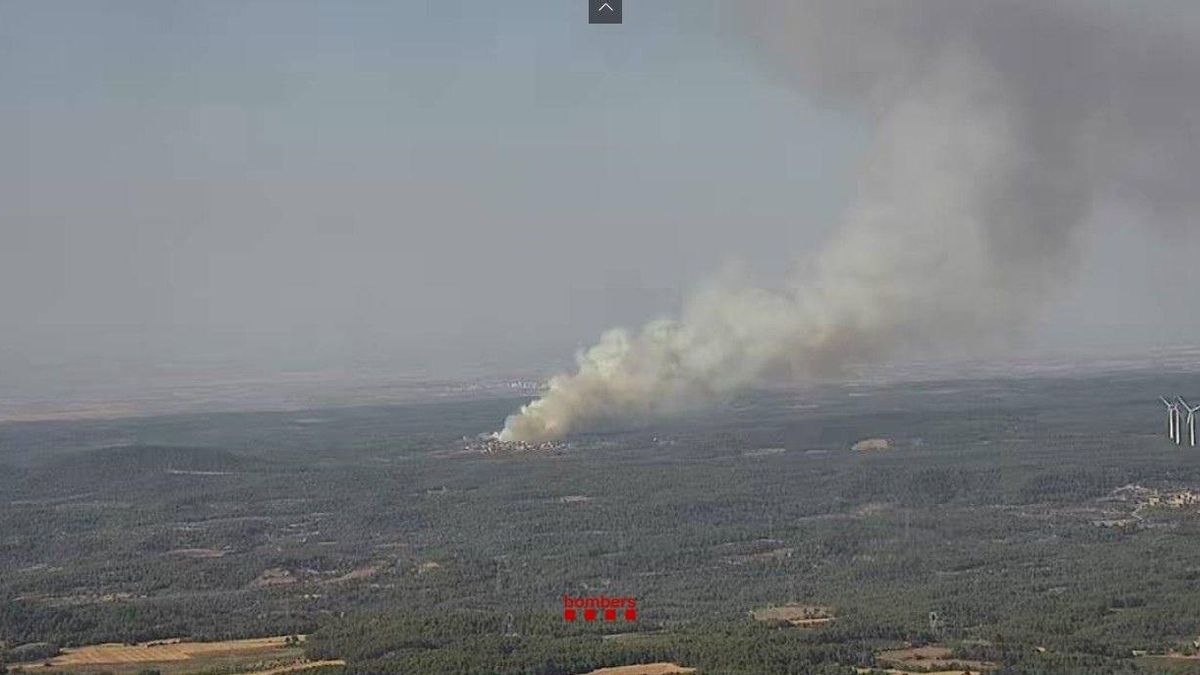 Incendio forestal en Fulleda (Lleida)