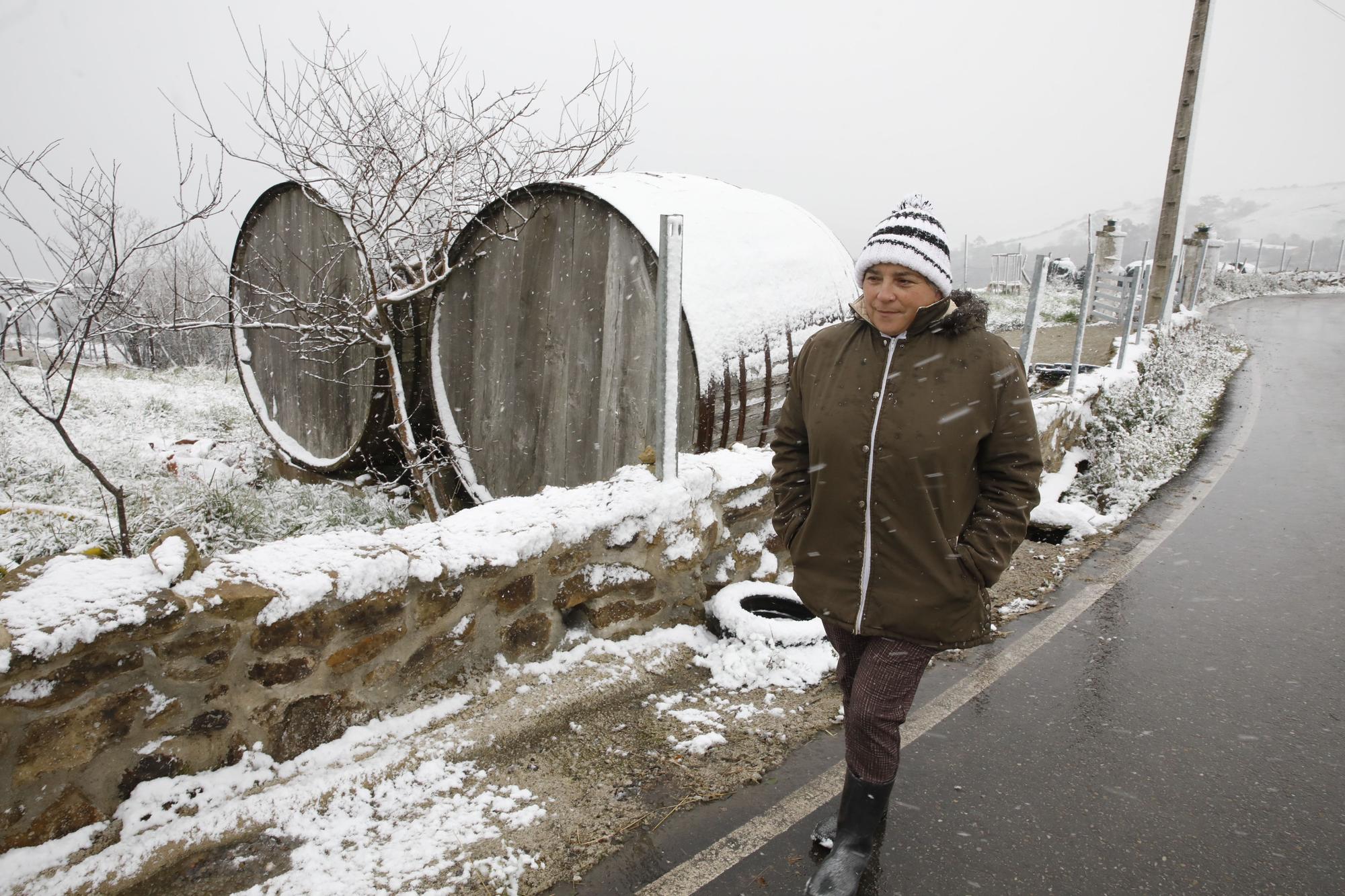 En imágenes: La borrasca Juliette llena de nieve parte de la zona rural de Gijón