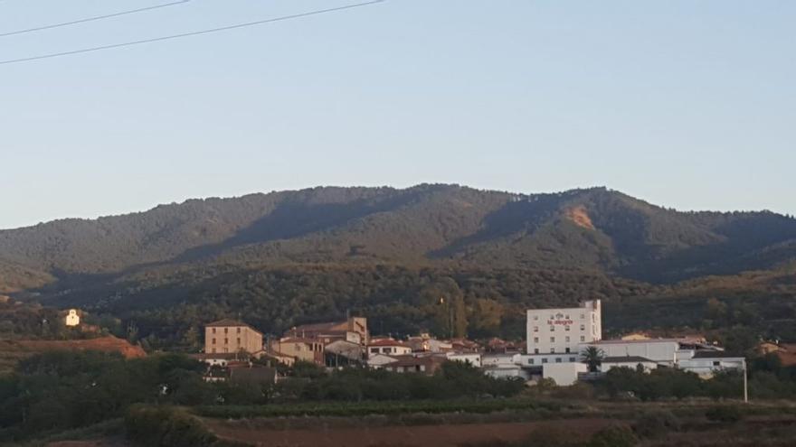 Imagen panorámica de la planta de La Alegría Riojana