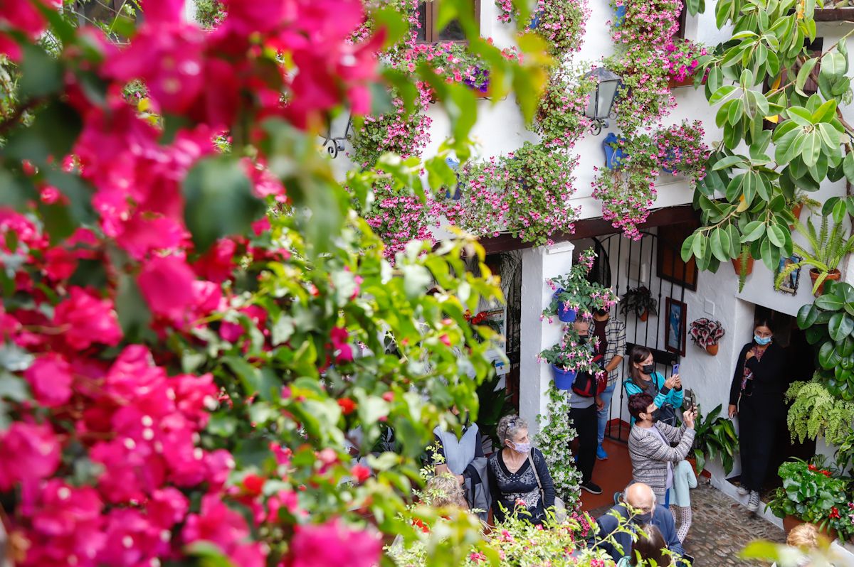 Los Patios de Córdoba 2022 abren sus puertas