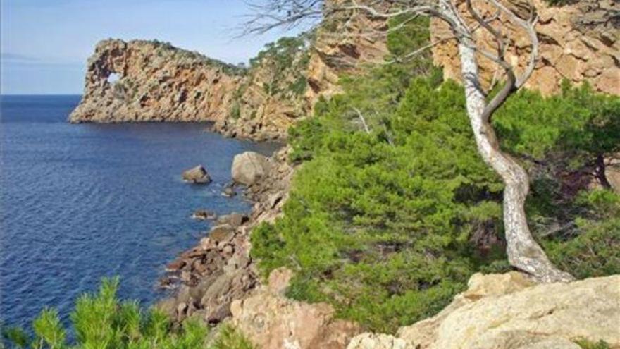 Un joven turista americano se mata al caer a una zona rocosa de Mallorca