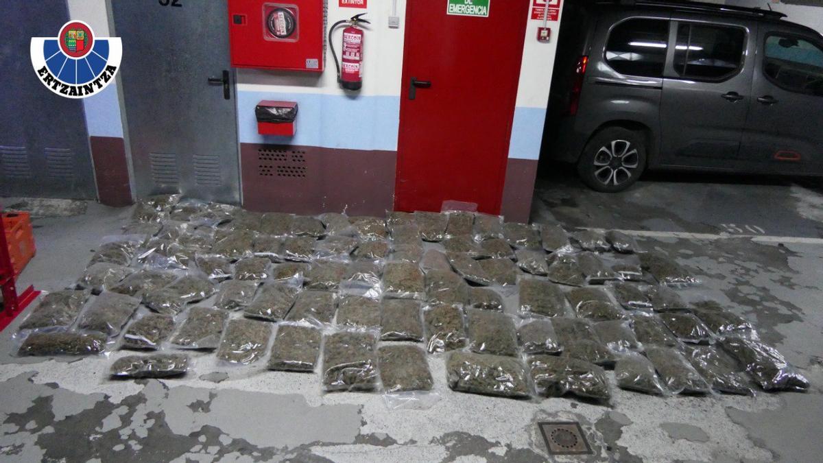 50 kg de cogollos de marihuana intervenidos.