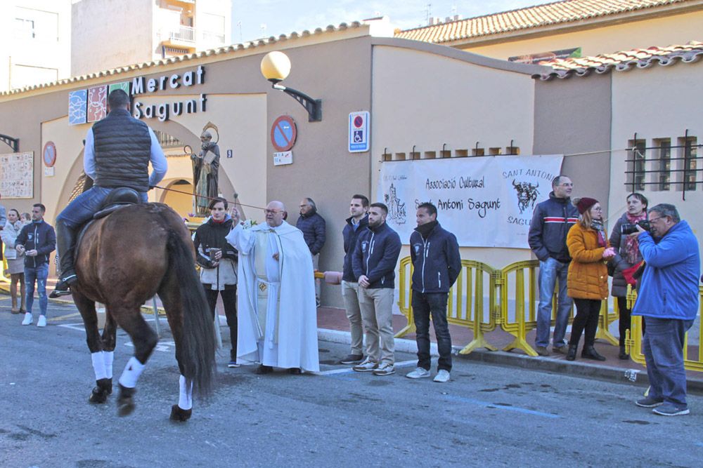 Sant Antoni en Sagunt