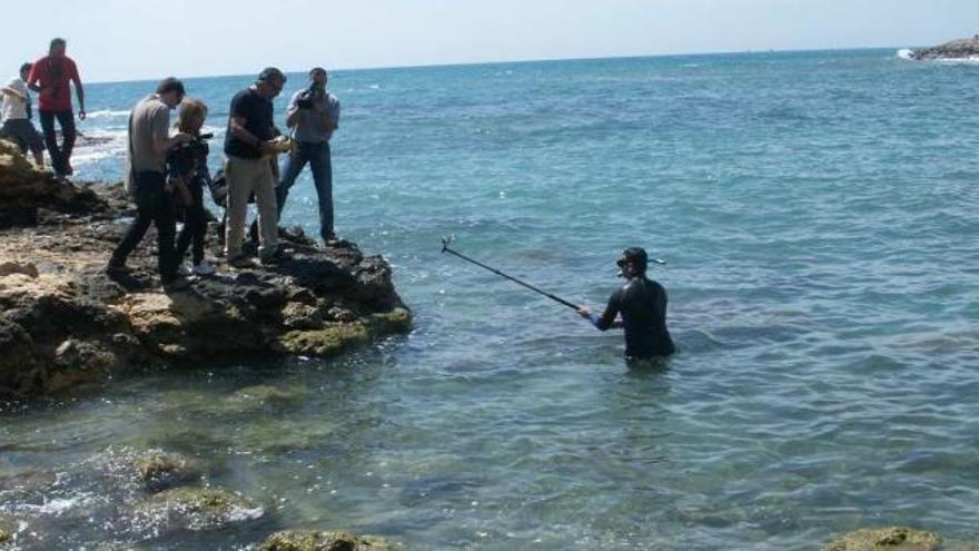 Un técnico se dispone a soltar la tortuga en el mar.