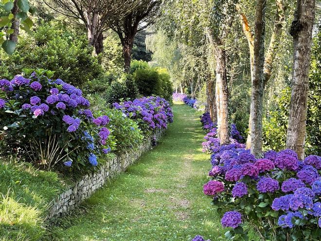 JARDINES DE LA FONTE BAXA DE LUARCA (1)