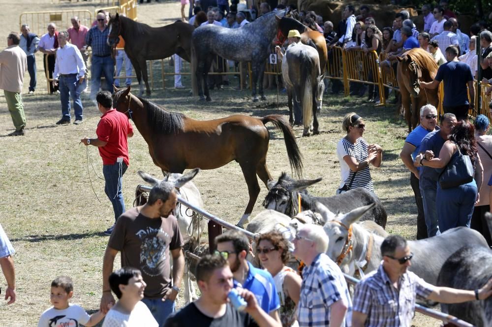 Última jornada en Femex y certamen ganadero