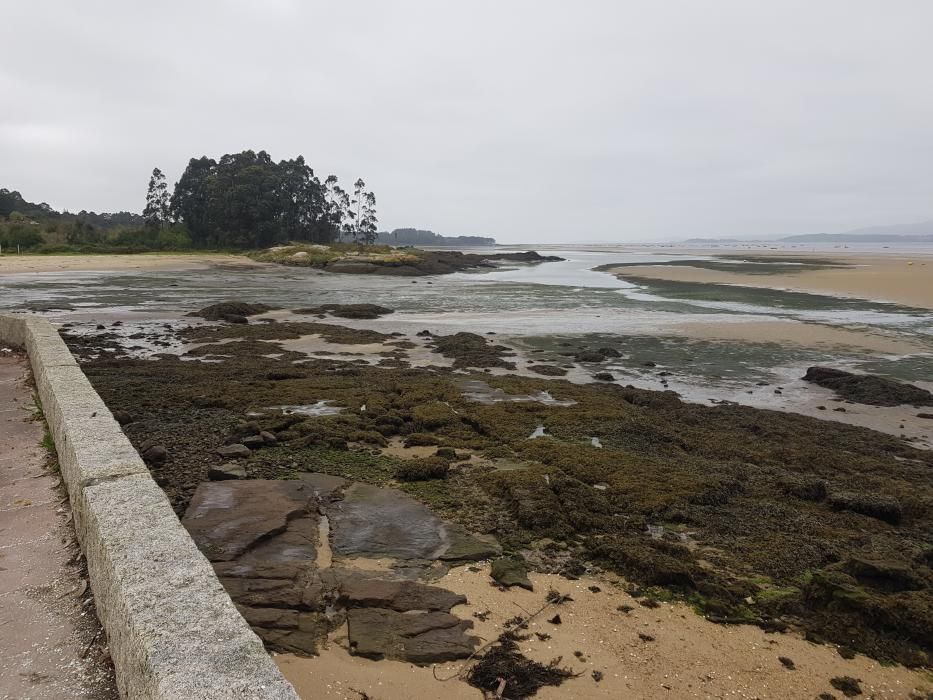 "Mareas vivas" en Galicia.