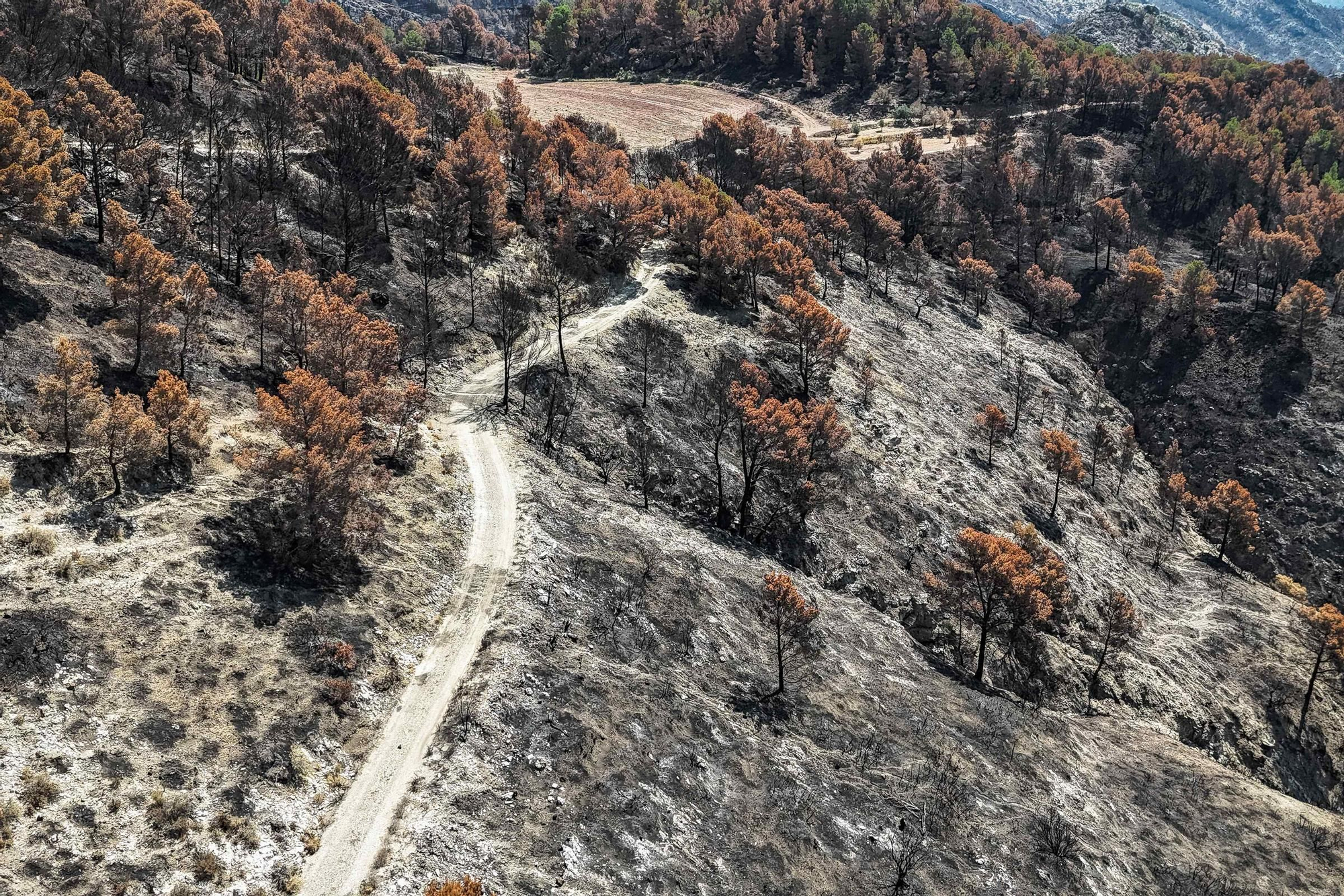 Les fotos de l'incendi de Paüls a vista de dron