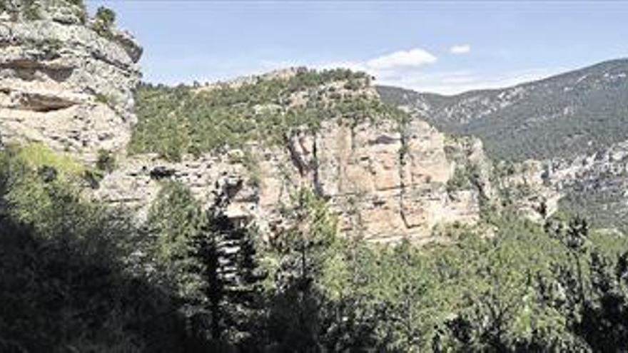 Noves rutes pels parcs de  la Tinença i Penyagolosa El Dia de l’Arbre