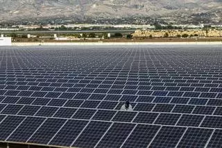 Los ecologistas ya han alegado contra 18 plantas solares proyectadas en Elche