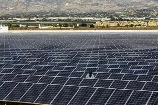 Los ecologistas ya han alegado contra 18 plantas solares proyectadas en Elche