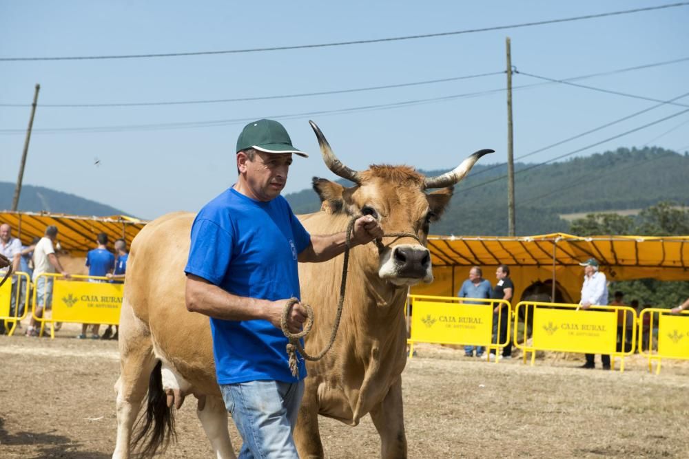 Feria de ganado en Santullano