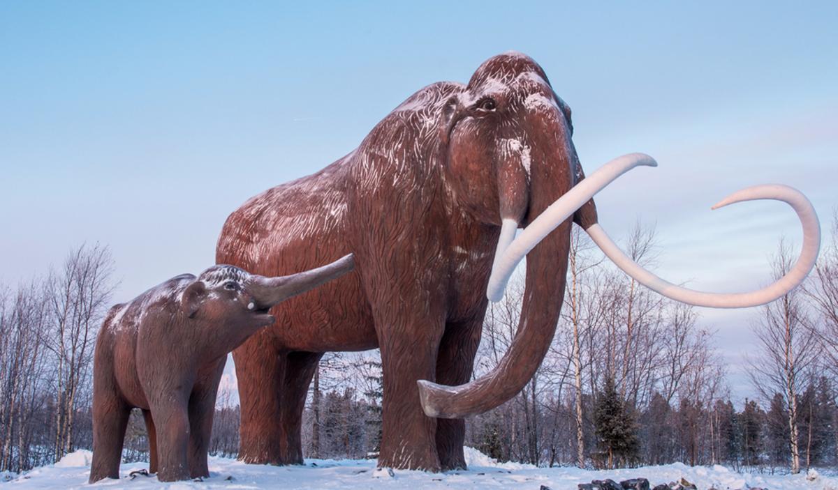 Recreación de un mamut lanudo y su cría
