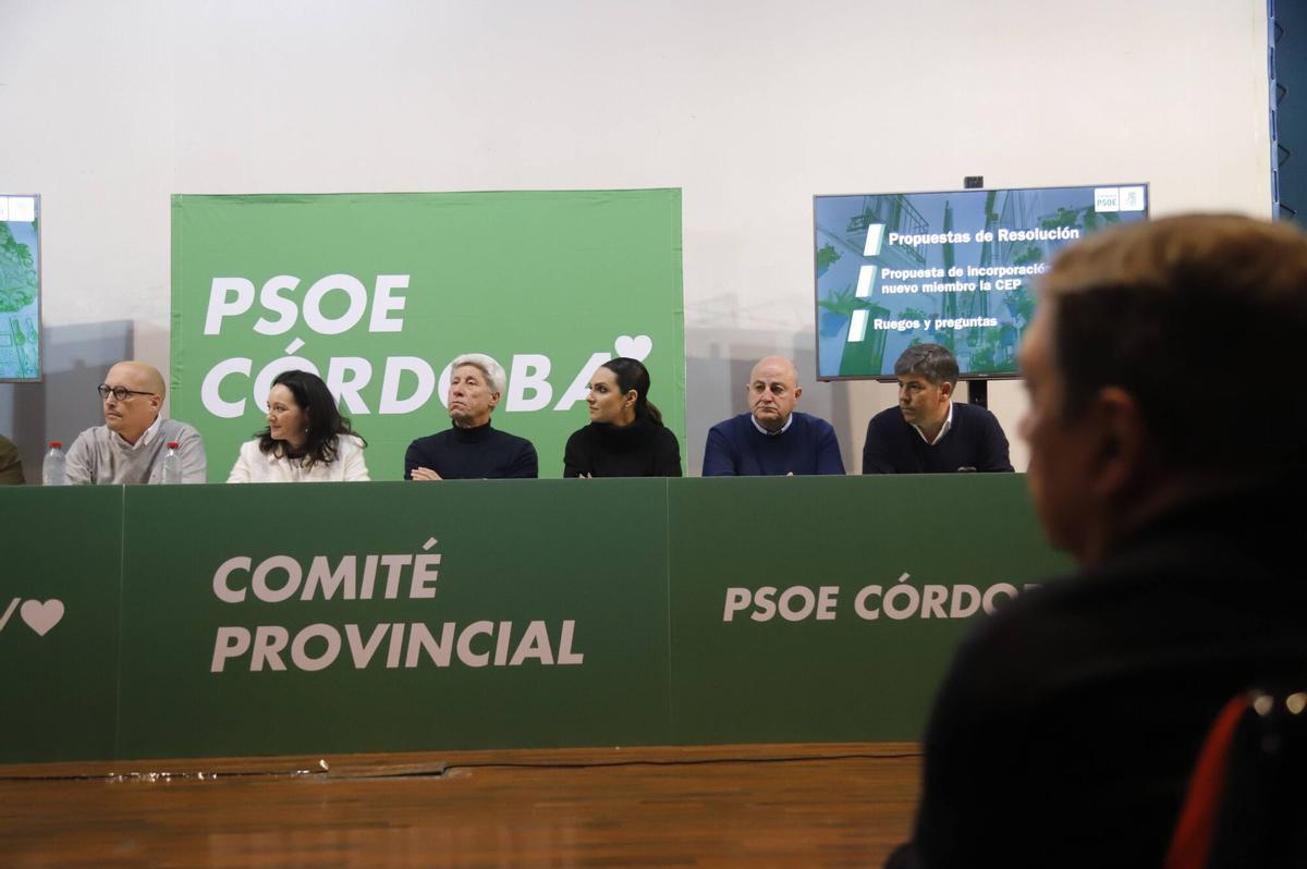 A.J.González Córdoba Ejecutiva Provincial del PSOE Rafi Crespín Luis Planas