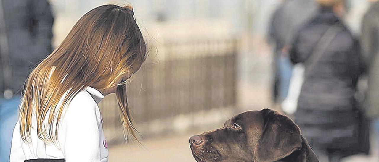 Una niña autista, con su perro guía en el País Vasco