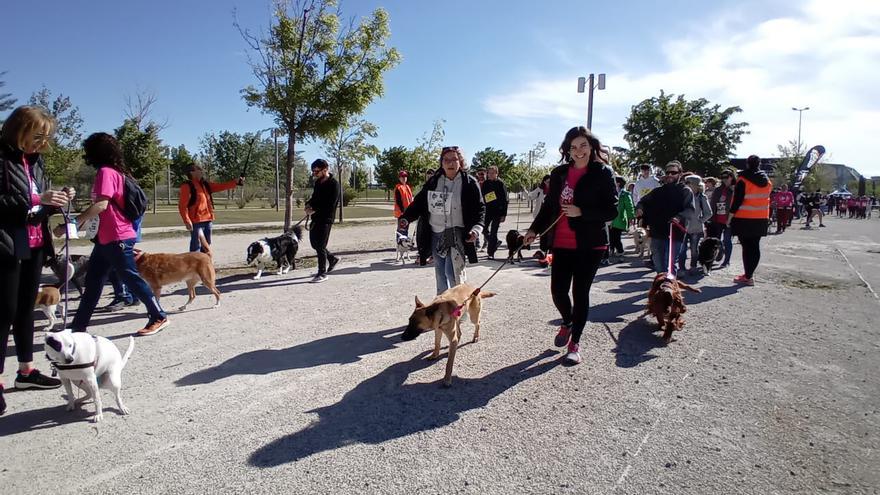 Más de 1.800 personas y 850 perros participan en la Andada Canina y Familiar Kalibo 5k