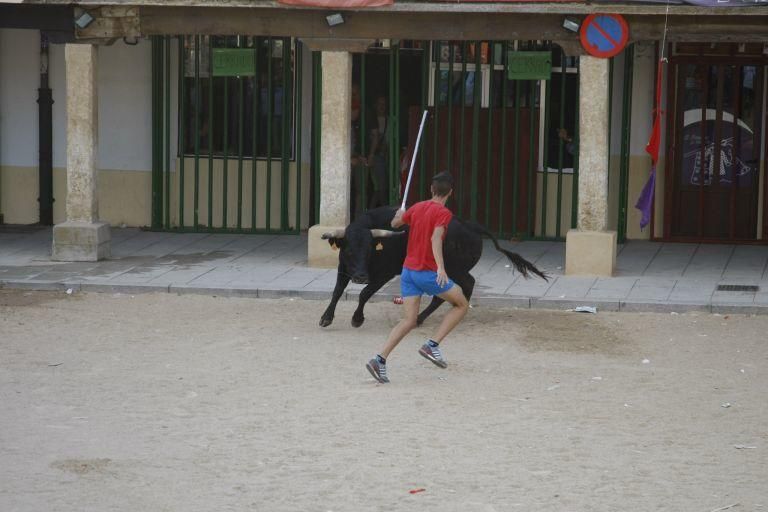 Encierro urbano en Fuentesaúco.