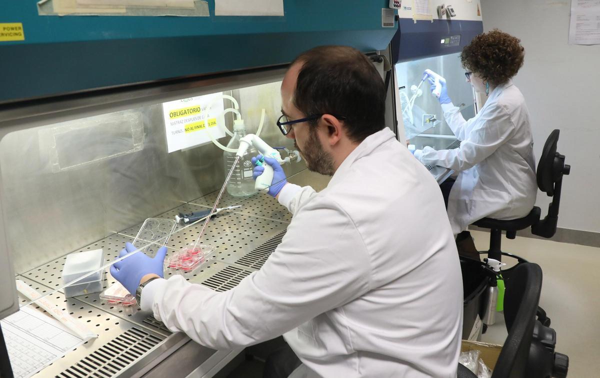 Investigadores en un laboratorio del CiMUS de la Universidade de Santiago.