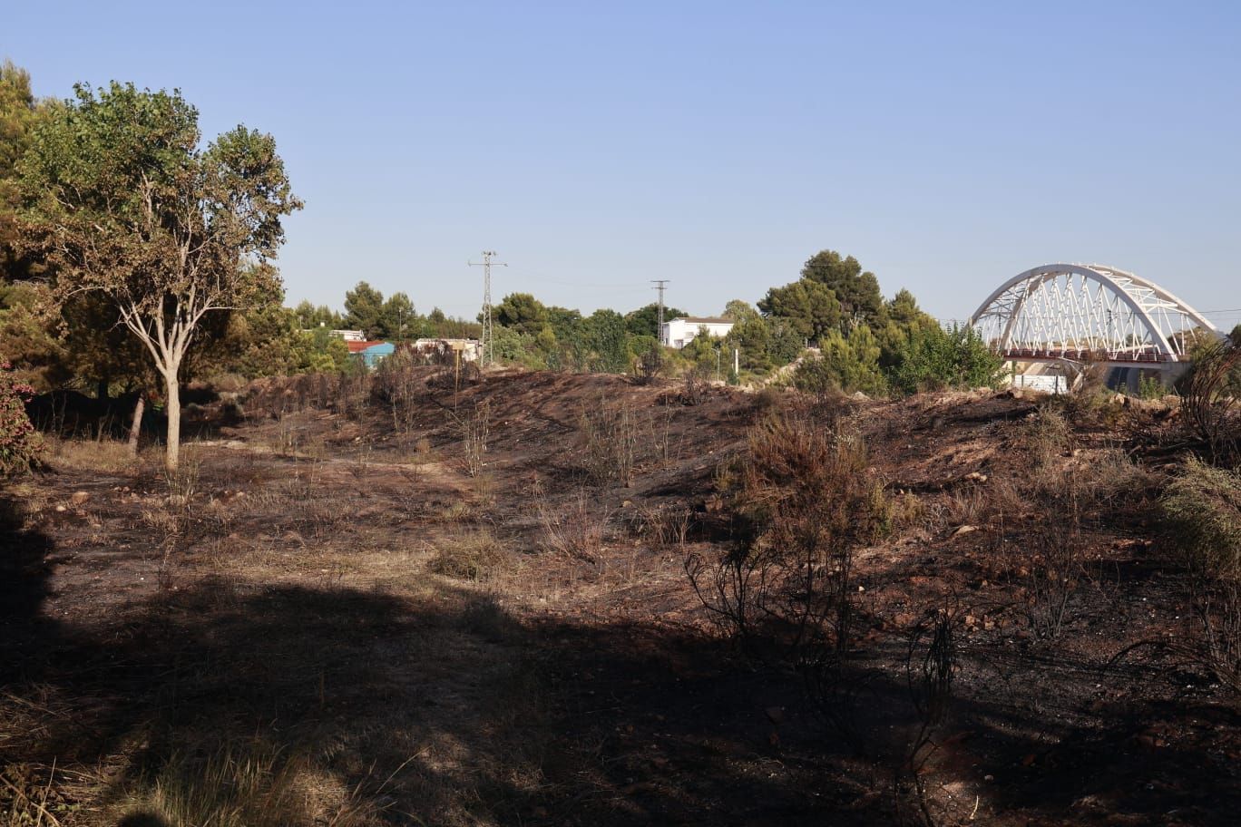 Un incendio quema media hectárea y asusta a los vecinos de una urbanización colindante