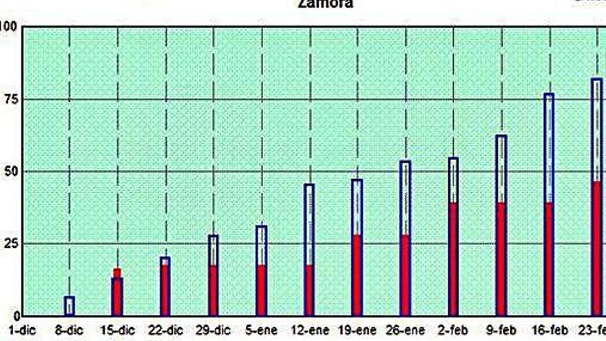 Precipitación de este invierno en Zamora capital y media histórica